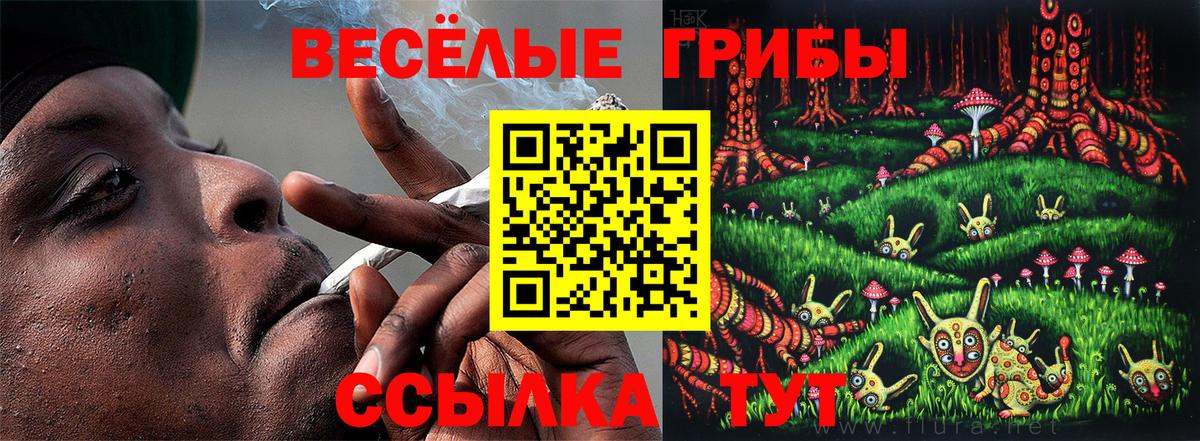 Галлюциногенные грибы GOLDEN TEACHER Елизово