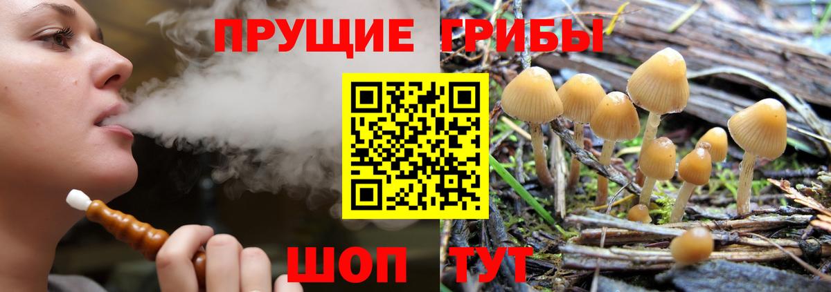 Псилоцибиновые грибы GOLDEN TEACHER  Галлюциногенные грибы Magic Shrooms  Елизово  Вход с VPN 